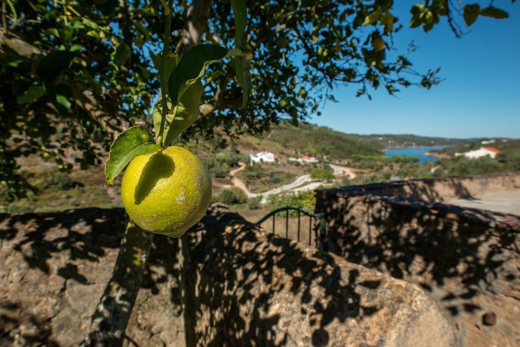 Quinta Da Eira Velha Pensionat Aldeia do Mato  Eksteriør billede